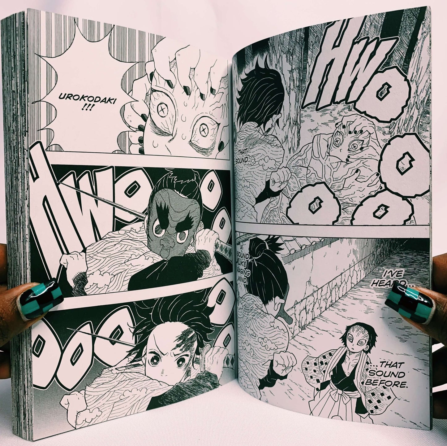 Demon Slayer Kimetsu no Yaiba Vol 2 Manga by Koyoharu Gotouge