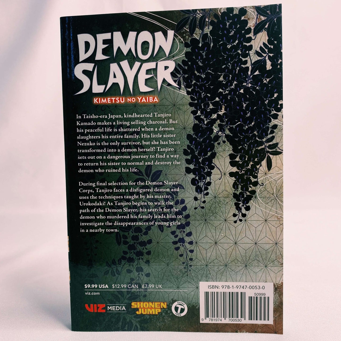 Demon Slayer Kimetsu no Yaiba Vol 2 Manga by Koyoharu Gotouge