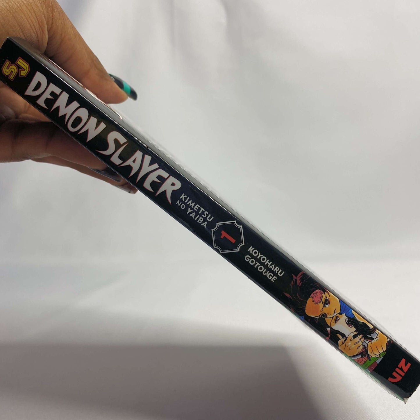 Demon Slayer Kimetsu no Yaiba Vol 1 Manga by Koyoharu Gotouge