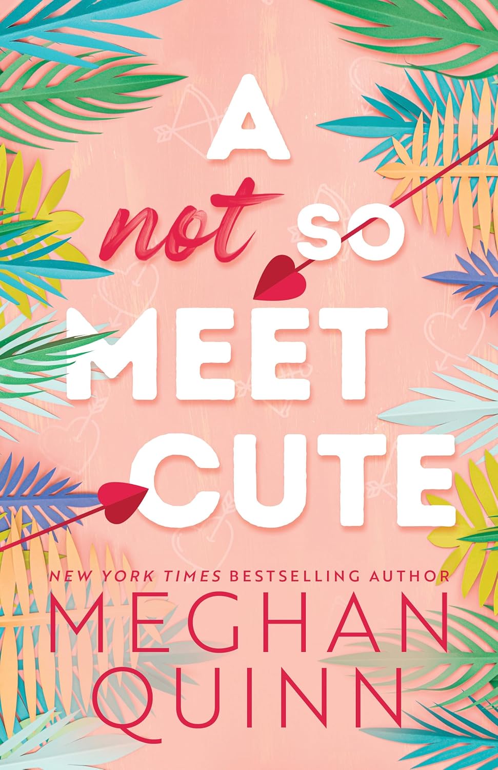 A Not So Meet Cute (Cane Brothers, 1) Paperback by Meghan Quinn
