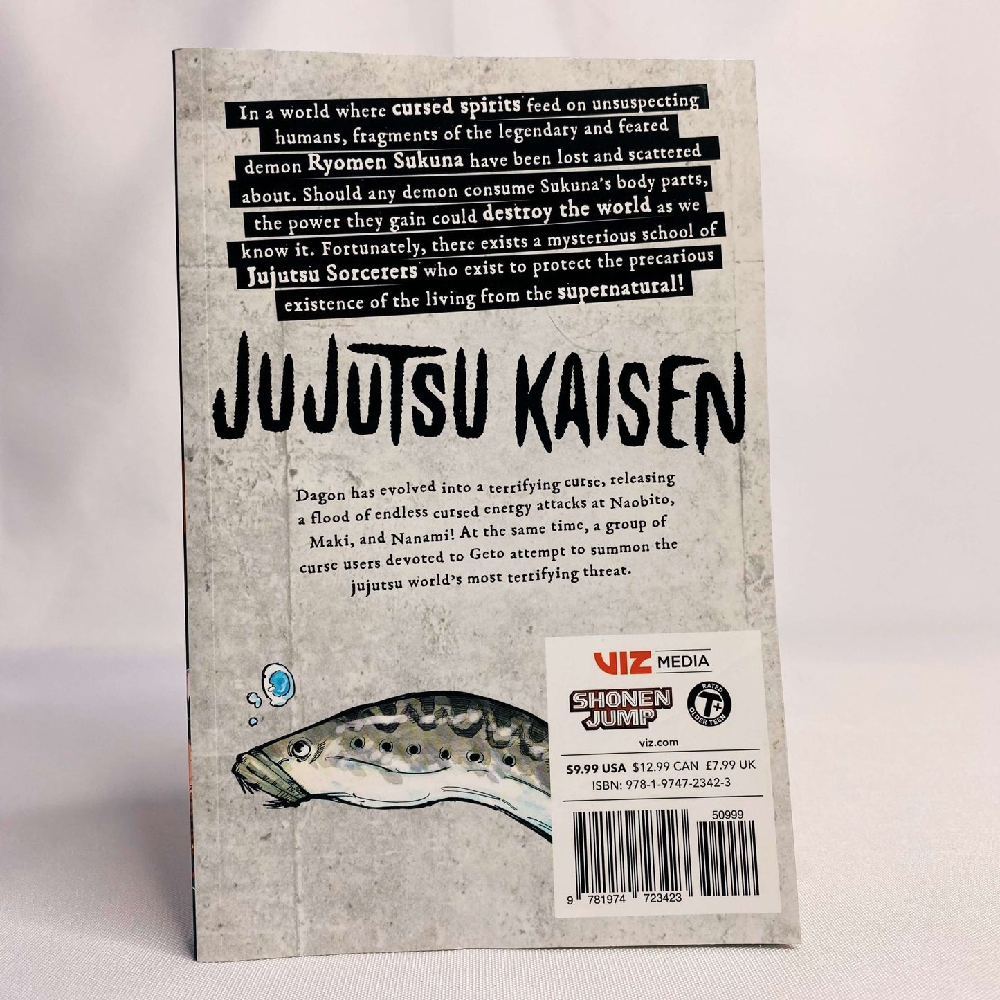 Jujutsu Kaisen Vol 13 Manga by Gege Akutami