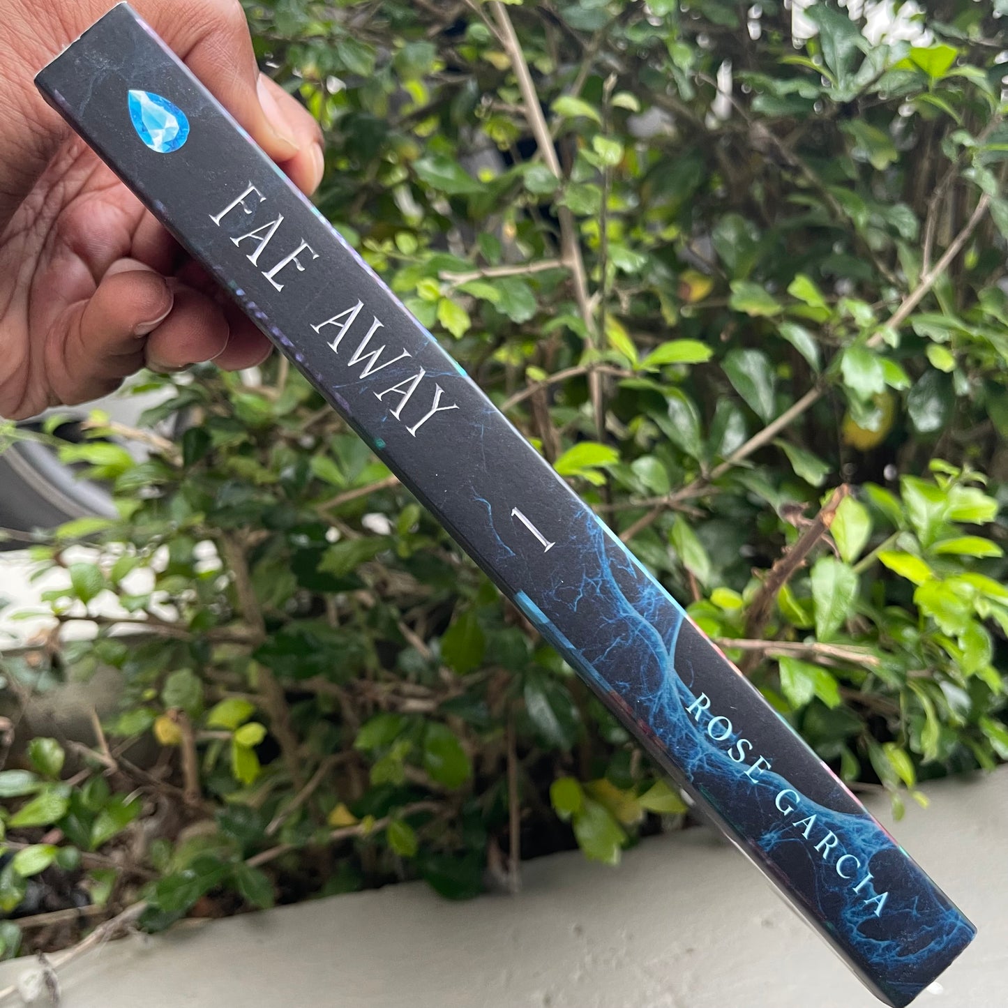 Fae Away (Fae Bloodlines) Paperback by Rose Garcia