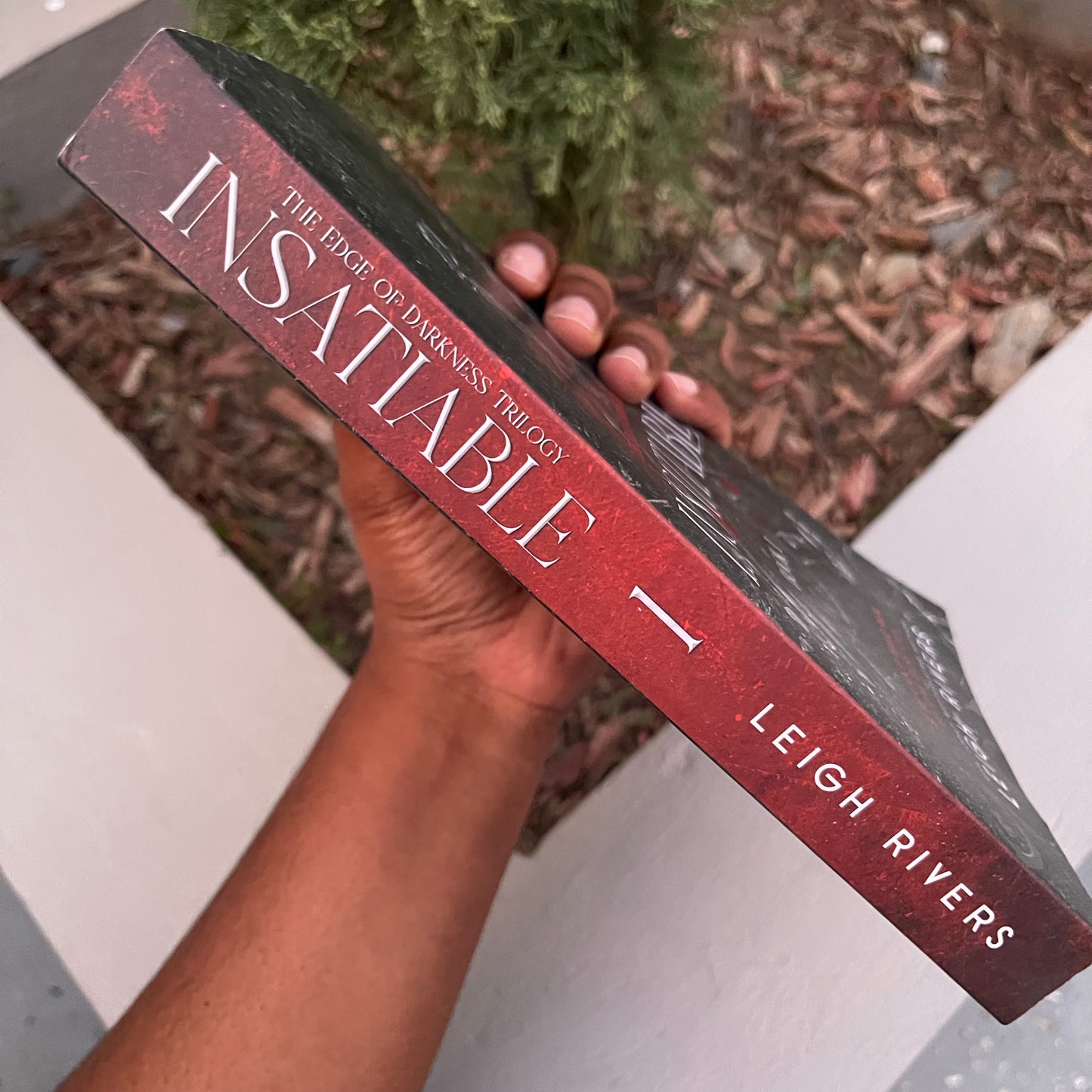 Insatiable Paperback dark romance by Leigh Rivers