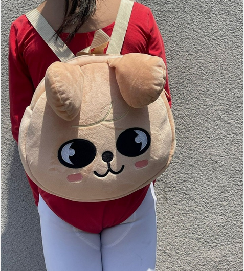 Authentic Stray Kids SKZOO Bagpacks