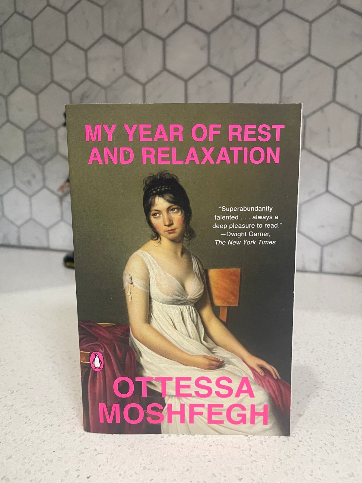 My Year of Rest and Relaxation paperback Novel by Ottessa Moshfegh