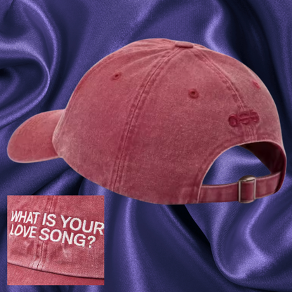 BTS ARIRANG What is your Love Song hat