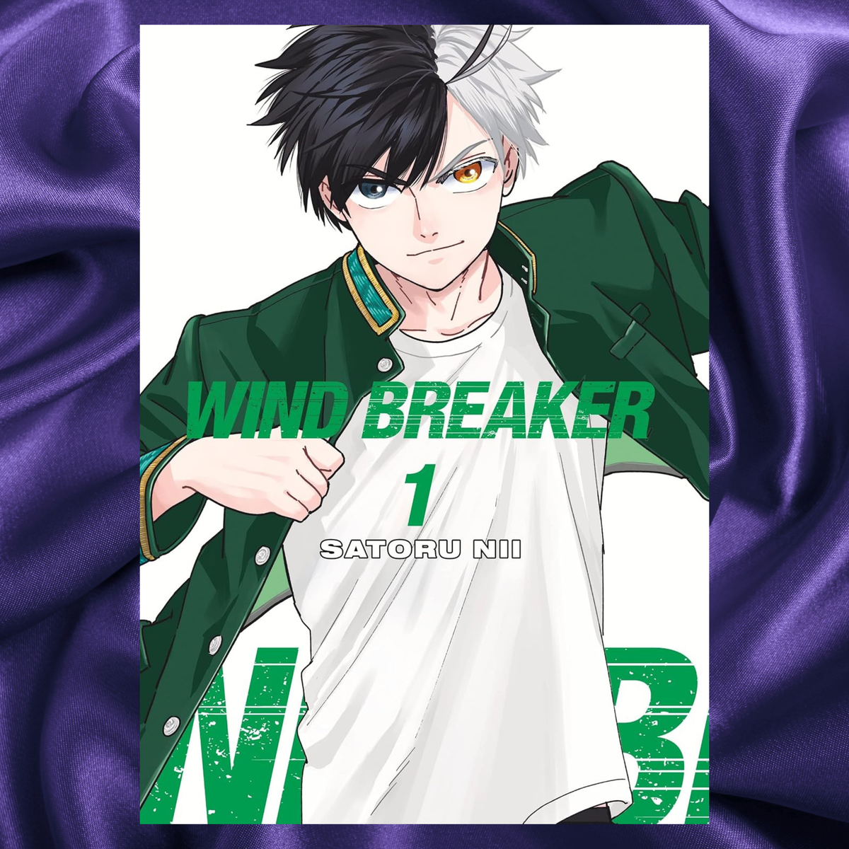 WIND BREAKER Volume 1 Paperback by Satoru Nii