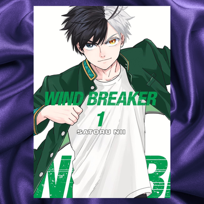 WIND BREAKER Volume 1 Paperback by Satoru Nii