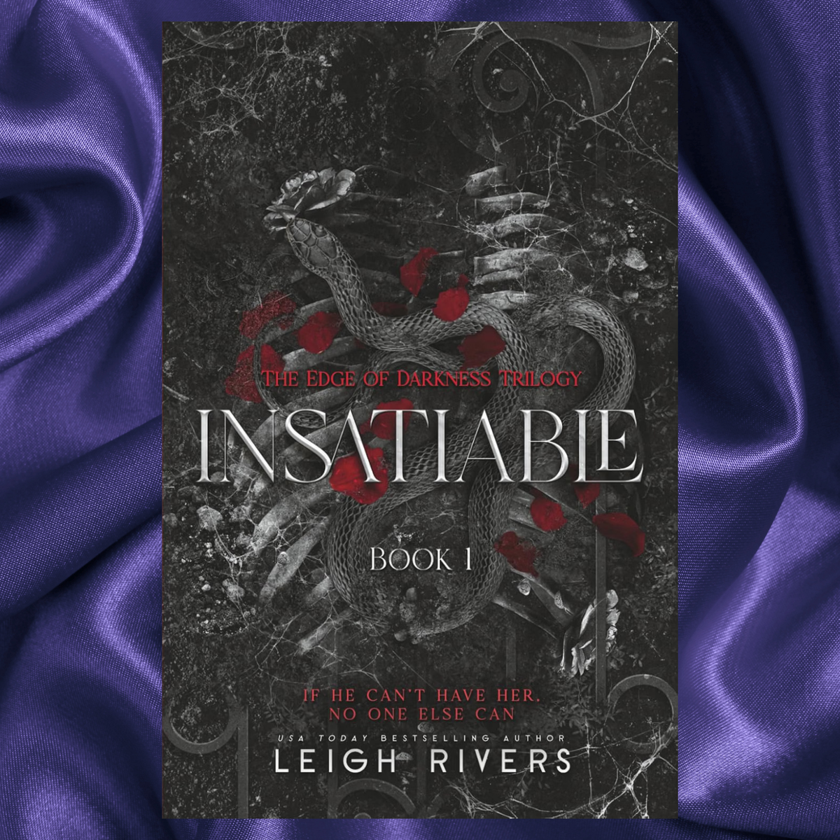 Insatiable Paperback dark romance by Leigh Rivers