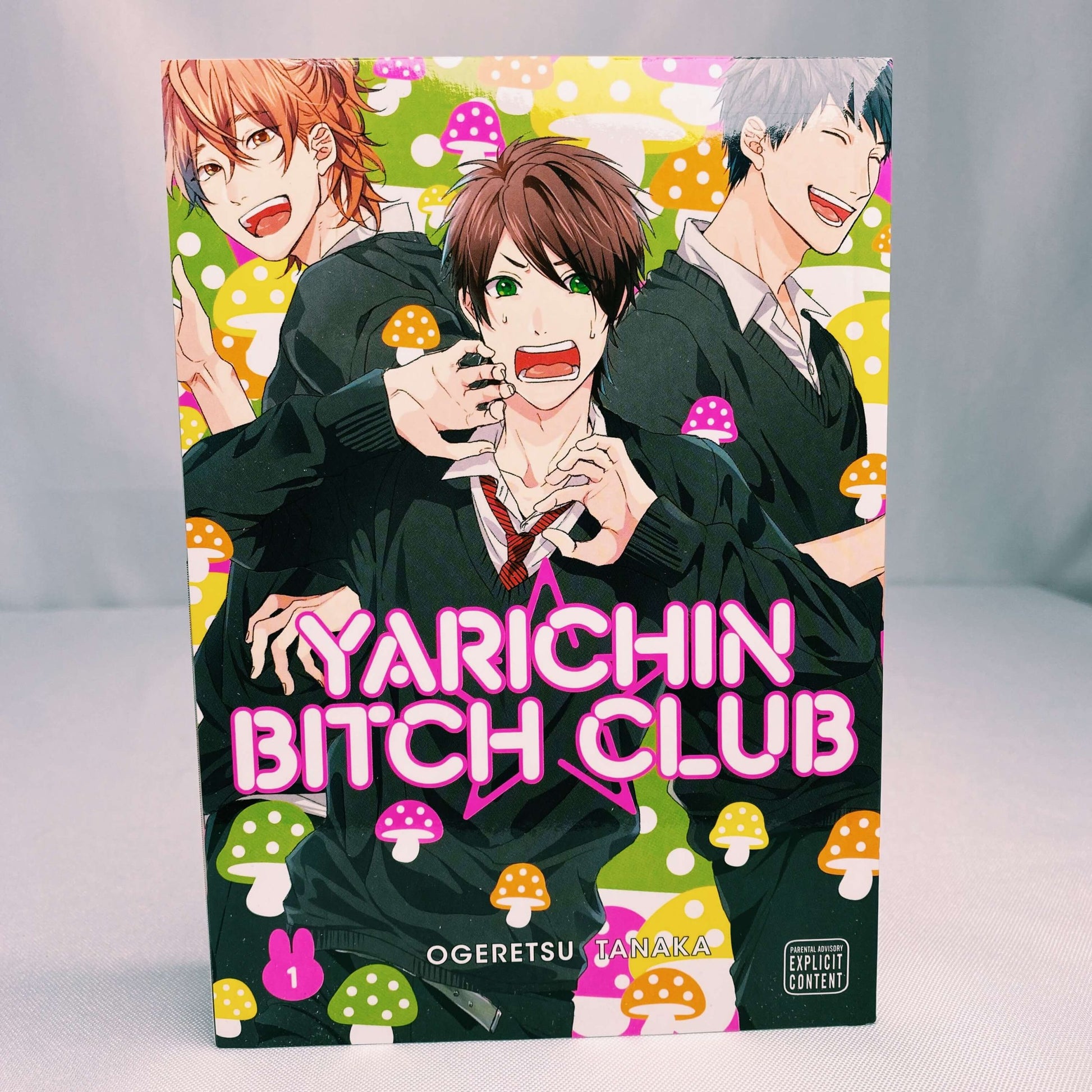 Yarichin Bitch Club Vol 1 Manga Paperback by Ogeretcu Tanaka – Omnia Retail  Services