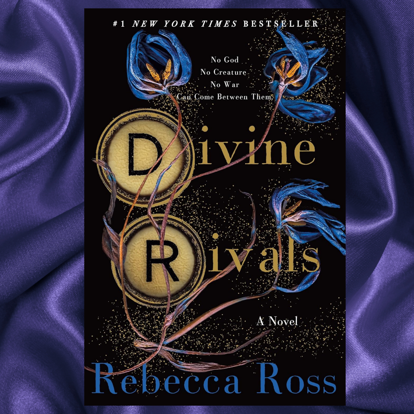 Divine Rivals A Novel (Letters of Enchantment 1) Hardcover by Rebecca Ross