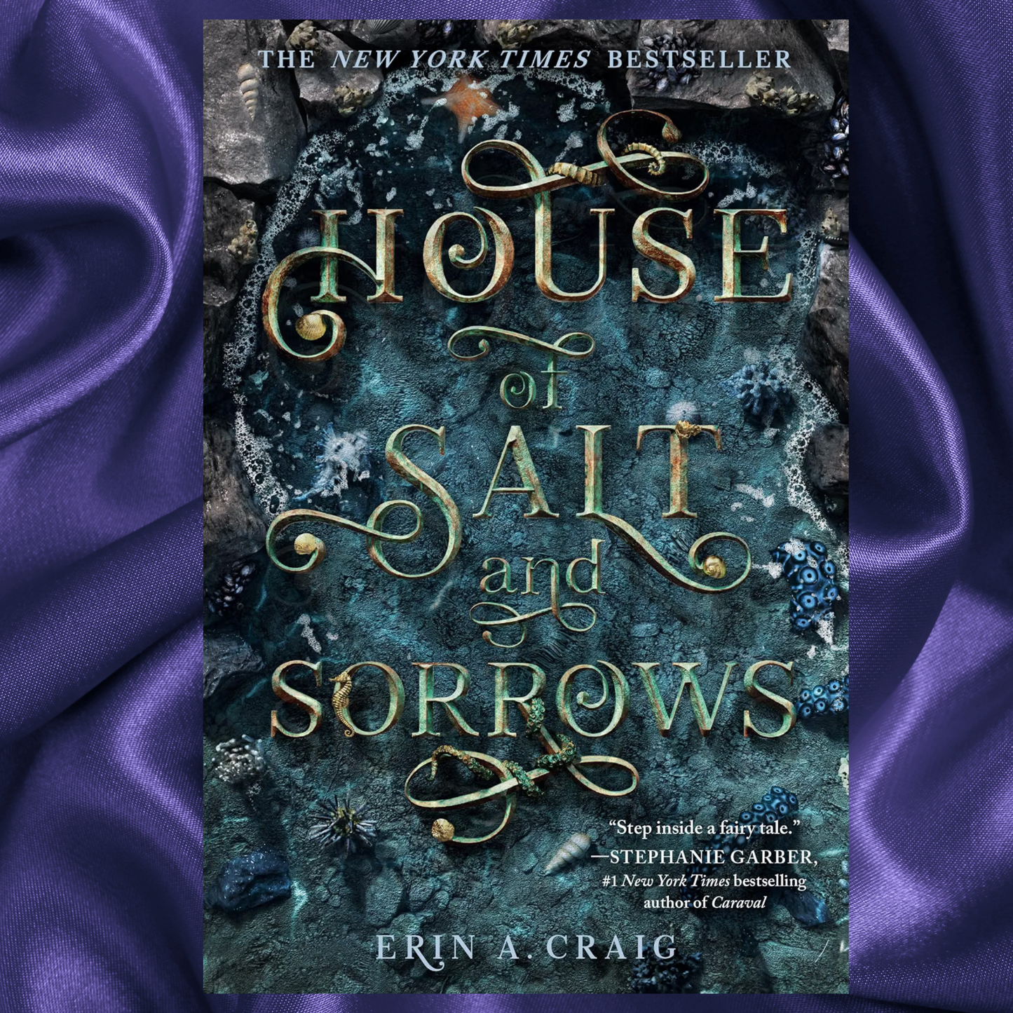 House of Salt and Sorrows (Sisters of the Salt) by Erin A. Craig paperback