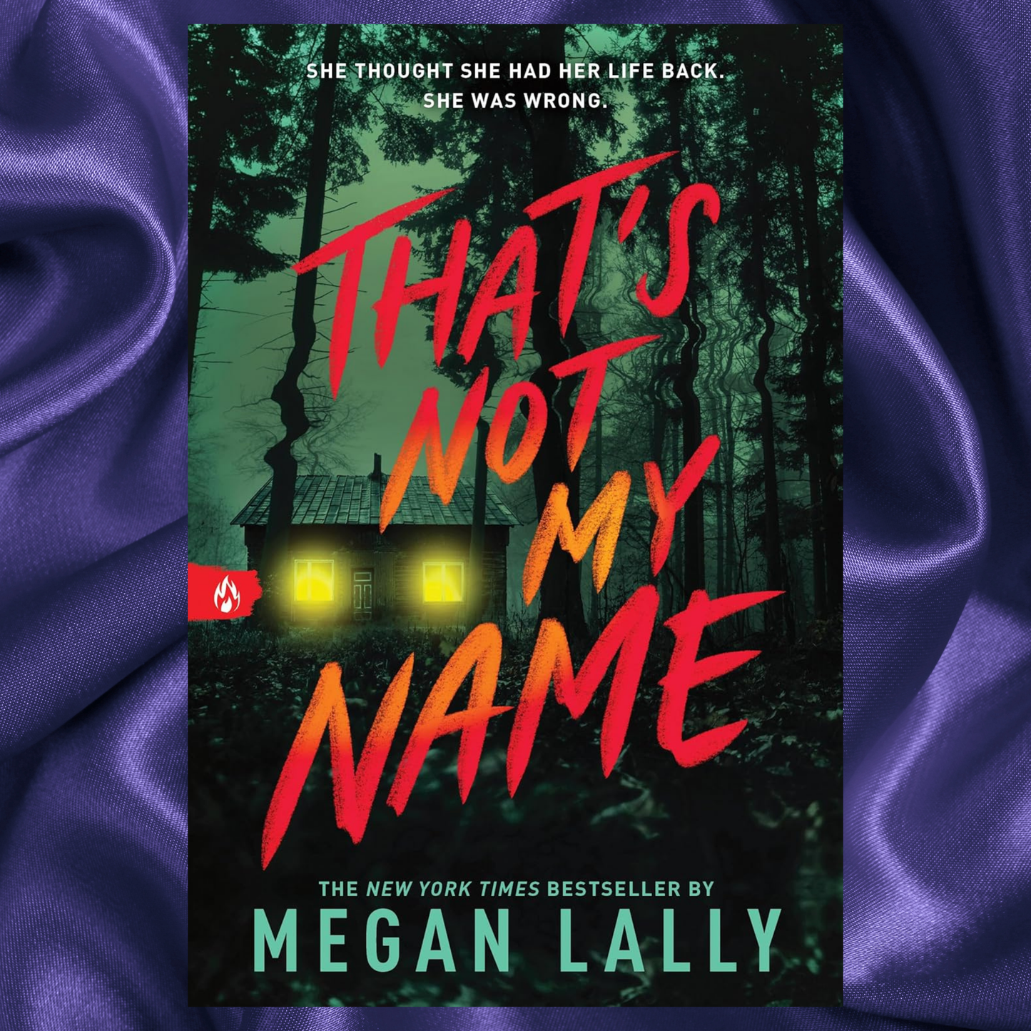 That's Not My Name Paperback by Megan Lally