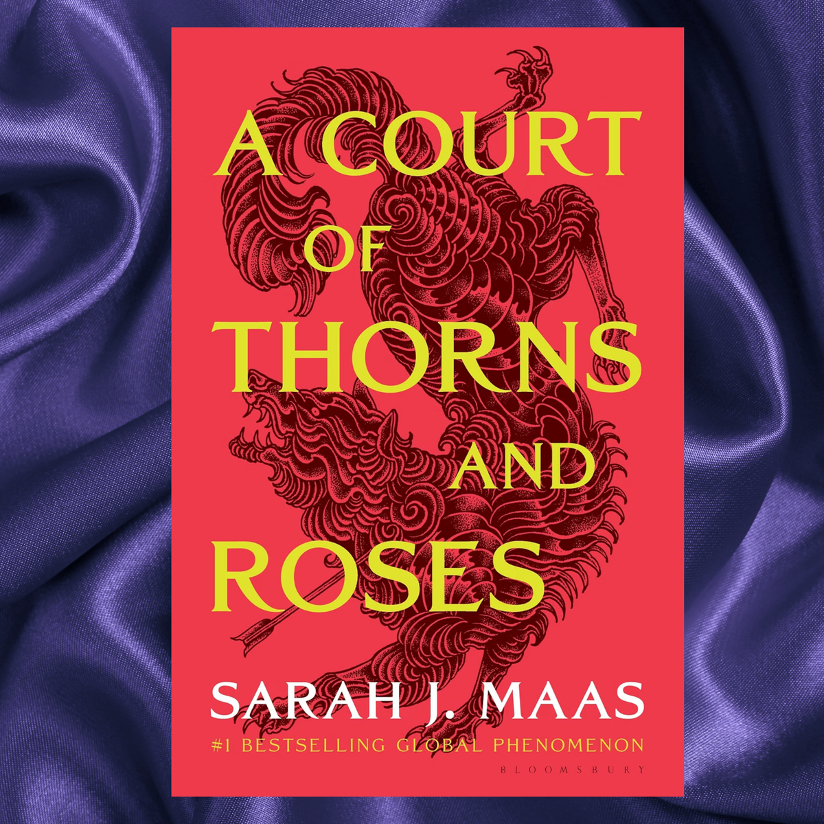 A Court of Thorns and Roses 1 Paperback by Sarah J. Maas