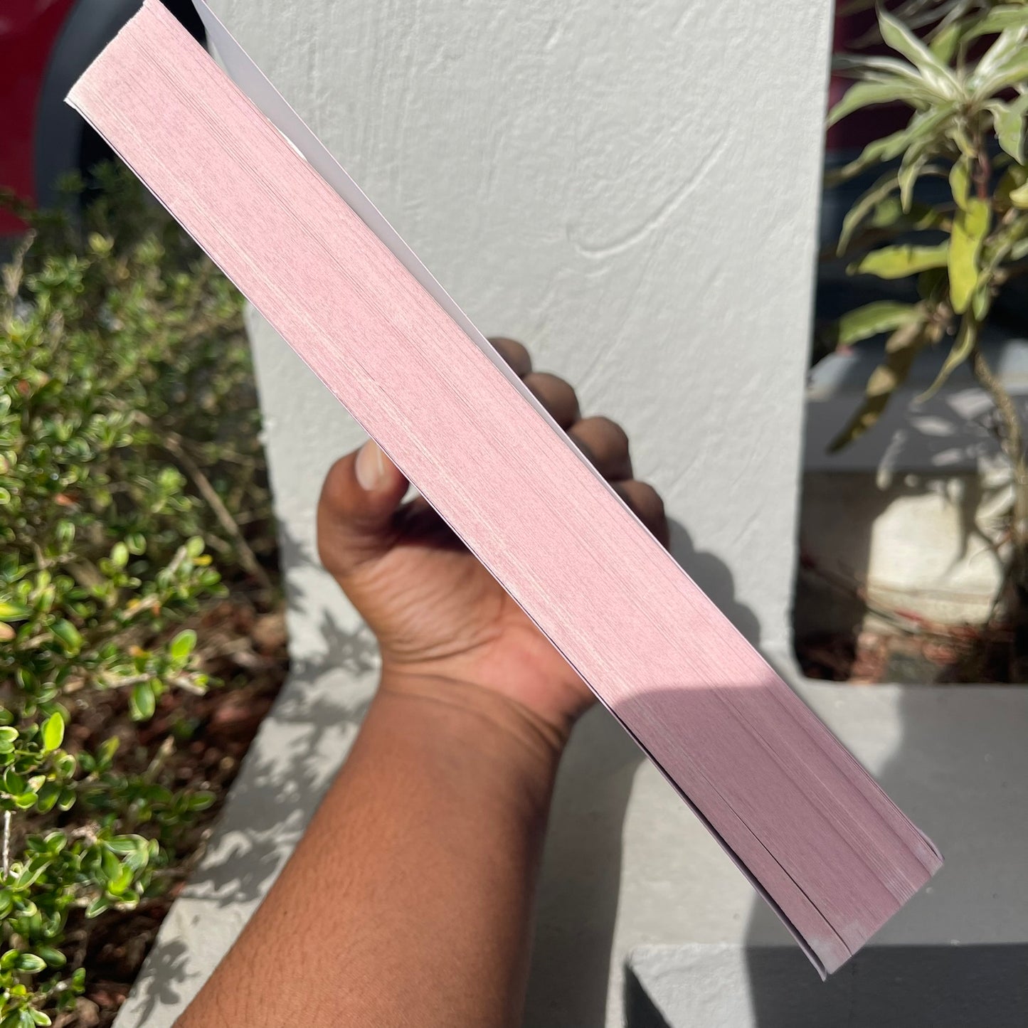 PINK EDGES! You've Reached Sam A Novel paperback by Dustin Thao