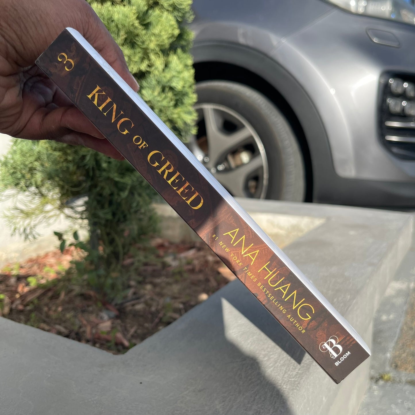 King of Greed (Kings of Sin 3) Paperback by Ana Huang