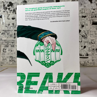 WIND BREAKER Volume 1 Paperback by Satoru Nii