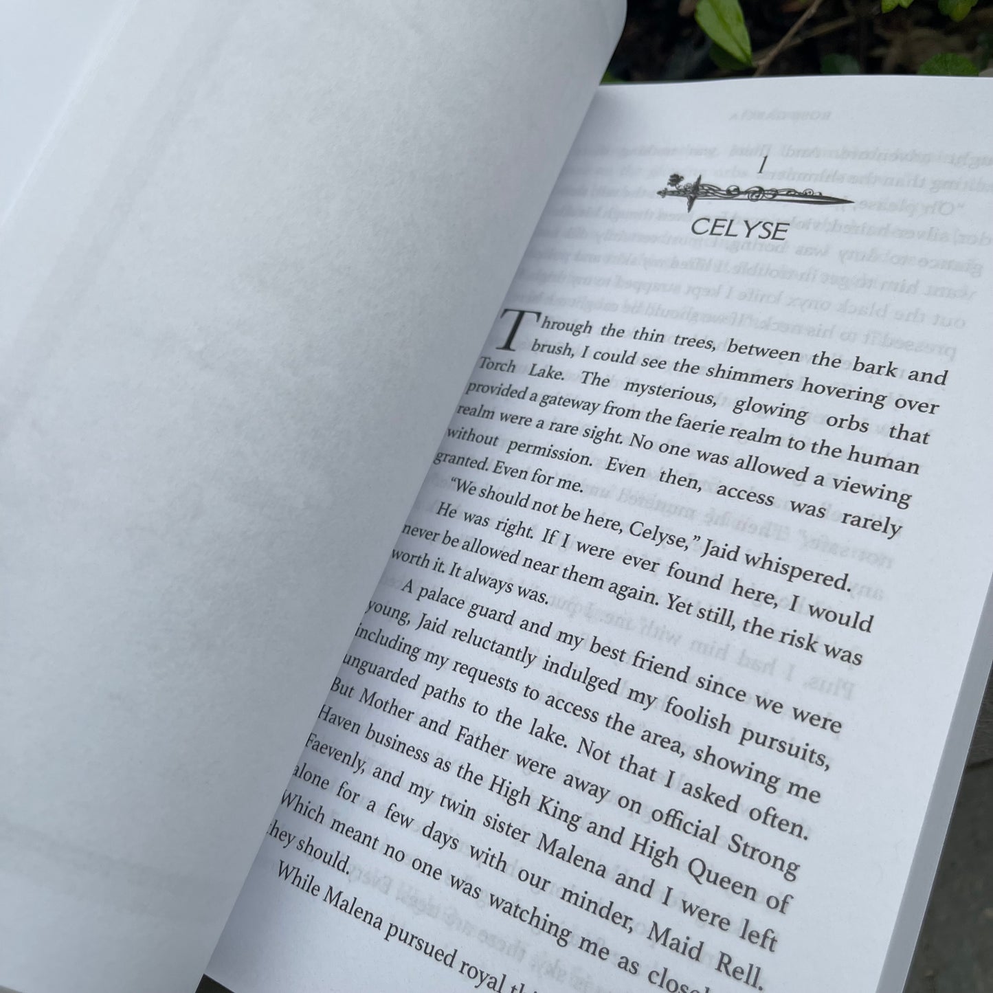 Fae Away (Fae Bloodlines) Paperback by Rose Garcia