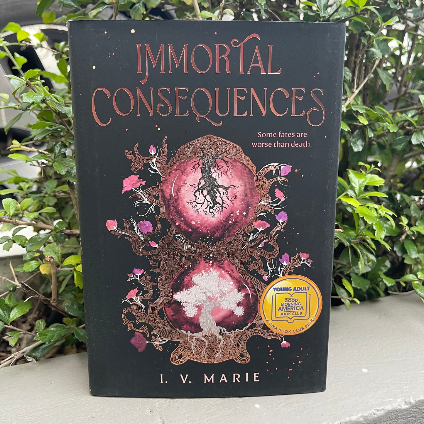 Sprayed Edges! Immortal Consequences Hardcover by I. V. Marie