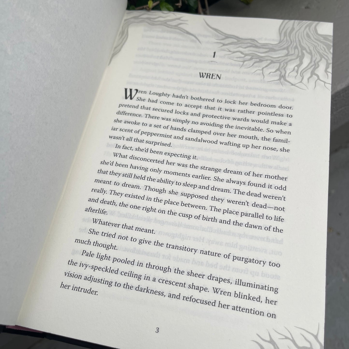 Sprayed Edges! Immortal Consequences Hardcover by I. V. Marie