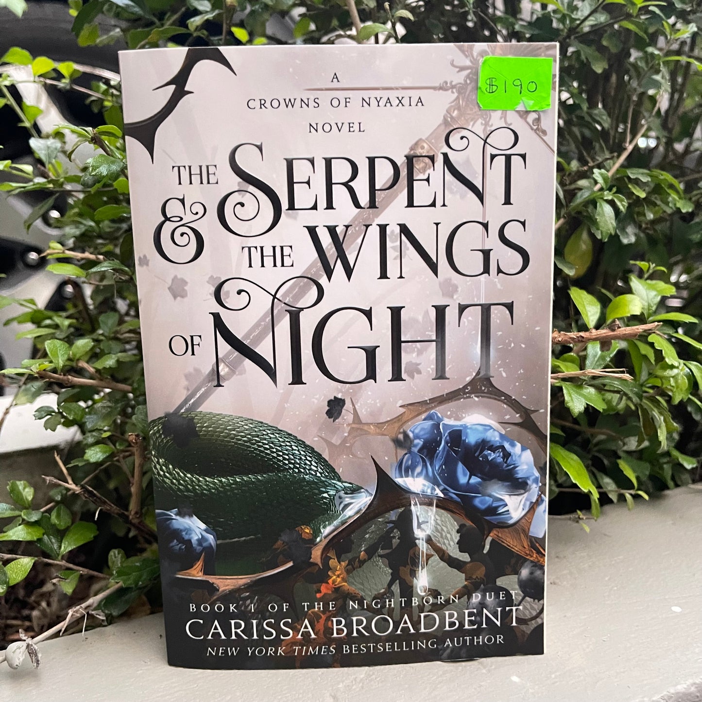 The Serpent & the Wings of Night Paperback by Carissa Broadbent