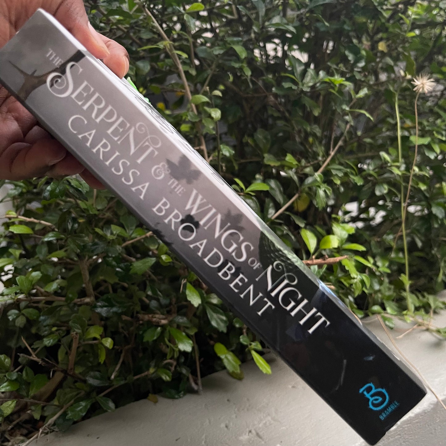 The Serpent & the Wings of Night Paperback by Carissa Broadbent