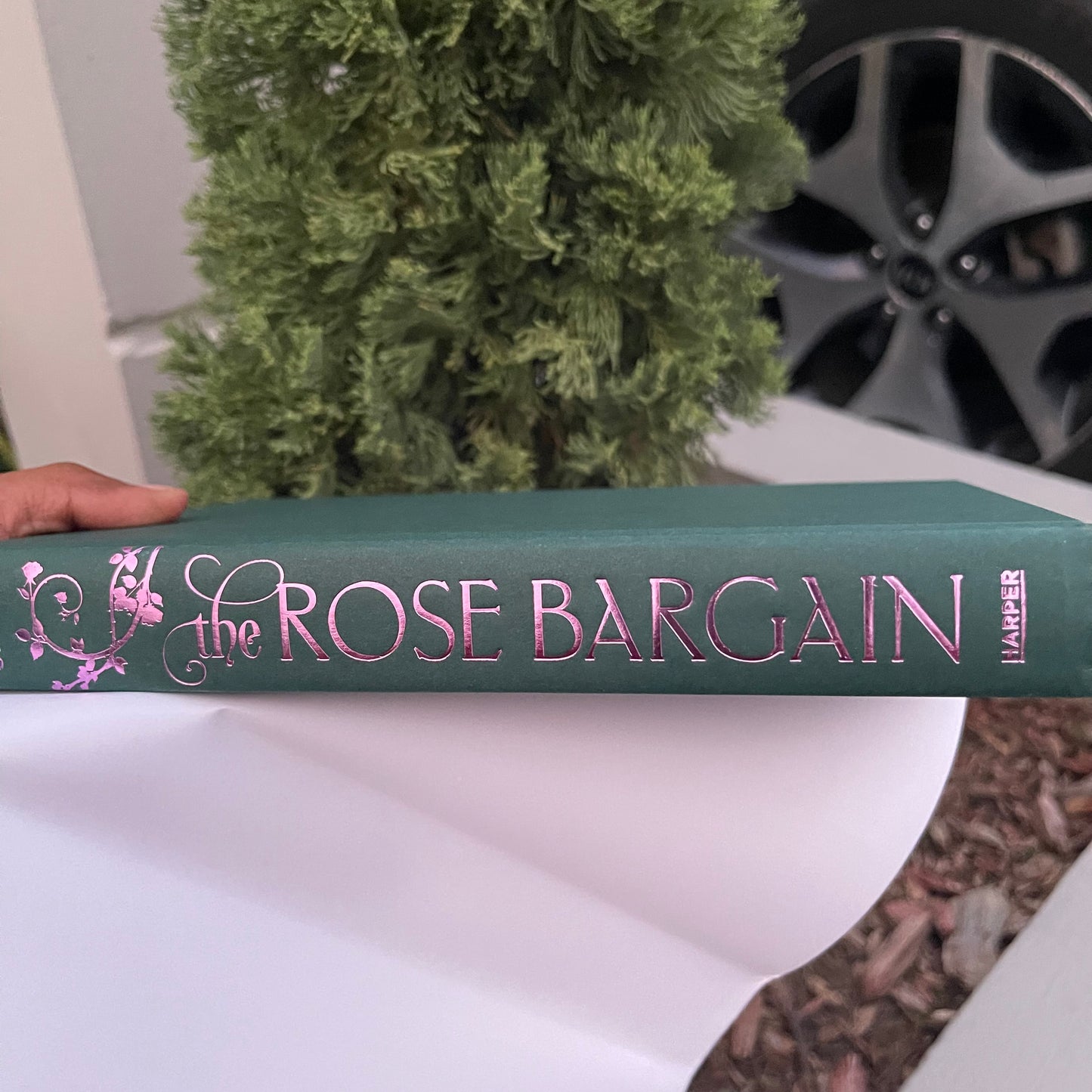 The Rose Bargain Hardcover by Sasha Peyton Smith