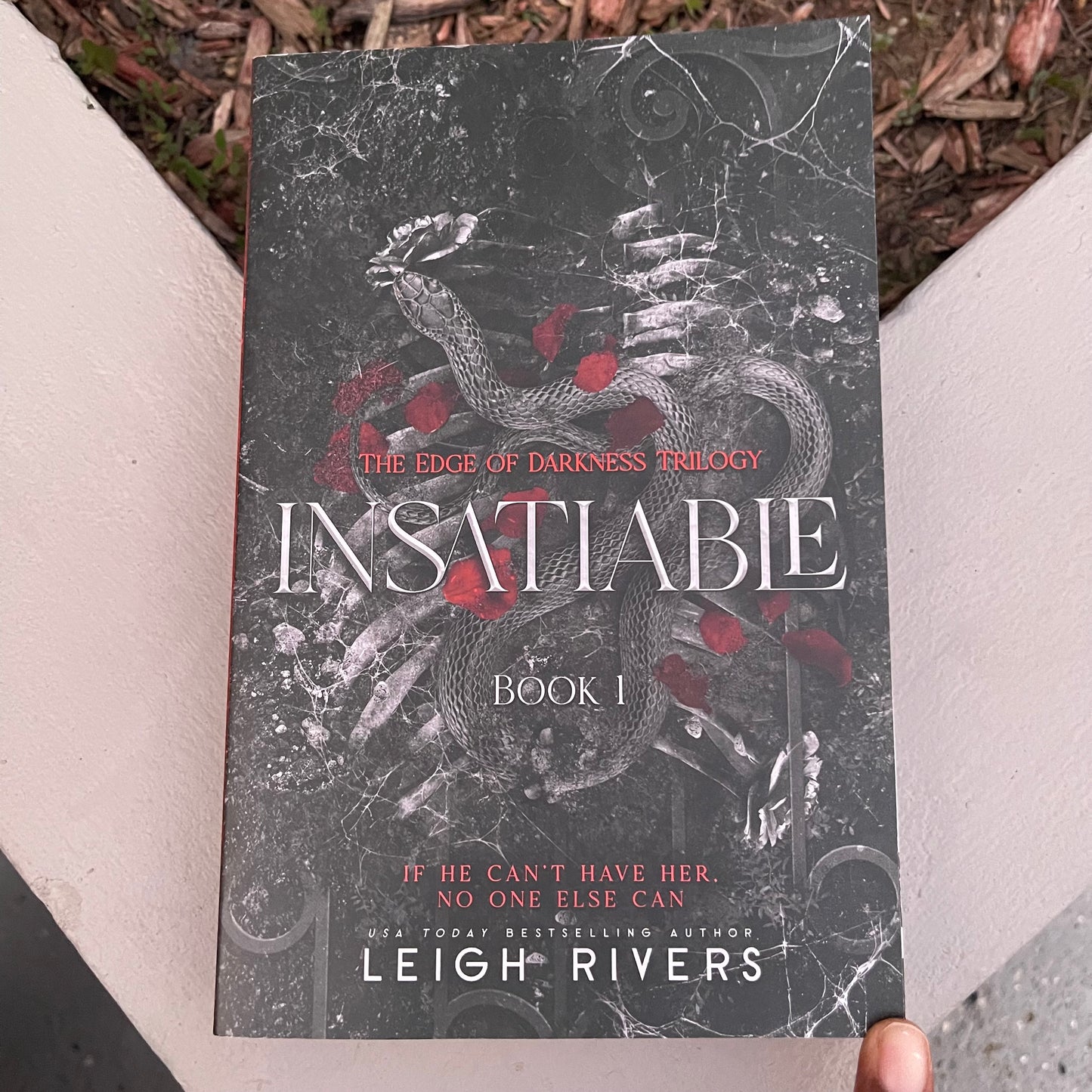 Insatiable Paperback dark romance by Leigh Rivers