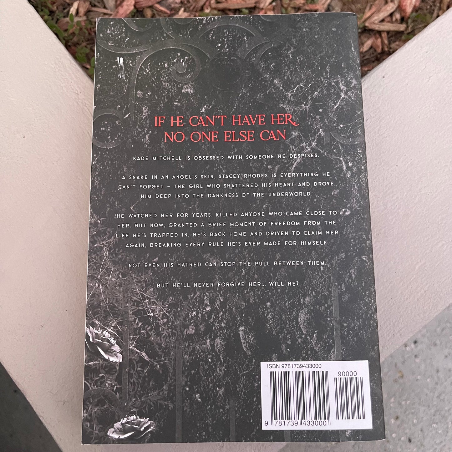 Insatiable Paperback dark romance by Leigh Rivers