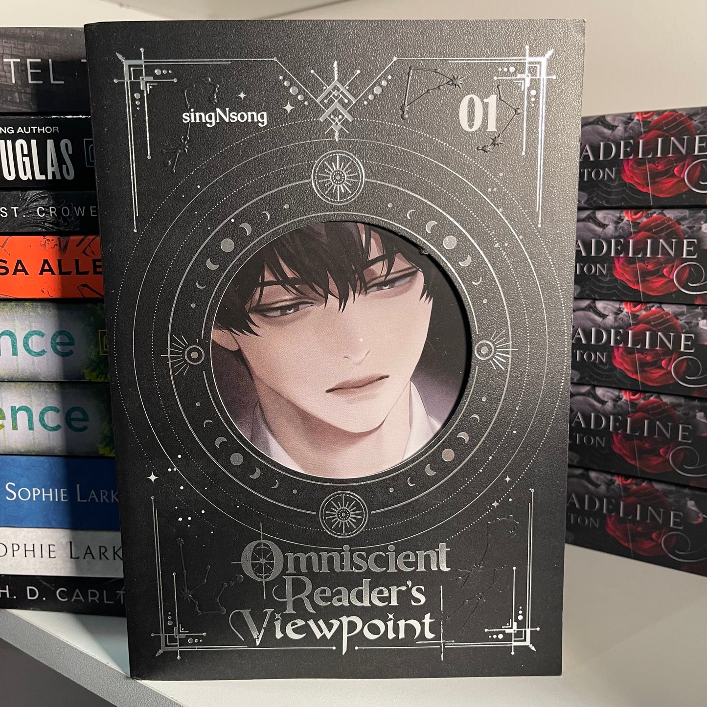 Omniscient Reader's Viewpoint (novel) Vol 1 by singNsong