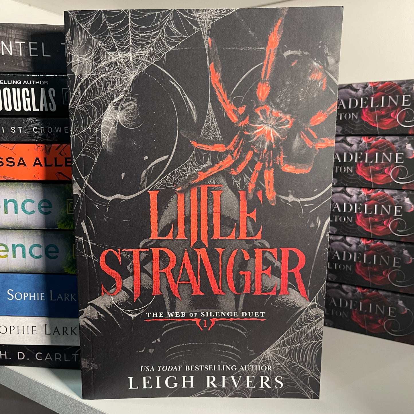 Little Stranger A Dark Taboo Romance (The Web of Silence Duet) by Leigh Rivers