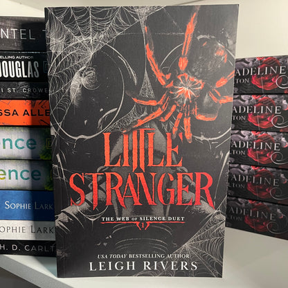 Little Stranger A Dark Taboo Romance (The Web of Silence Duet) by Leigh Rivers