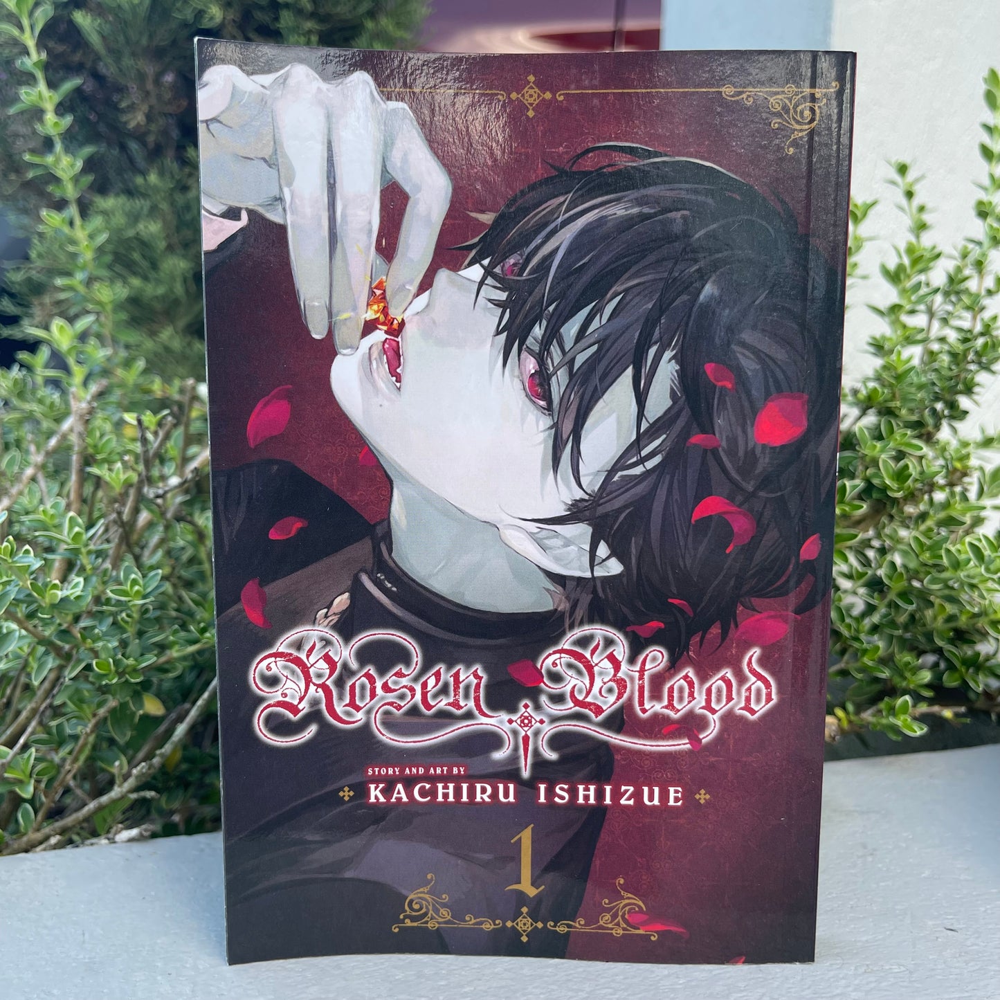 Rosen Blood Vol 1 by Kachiru Ishizue
