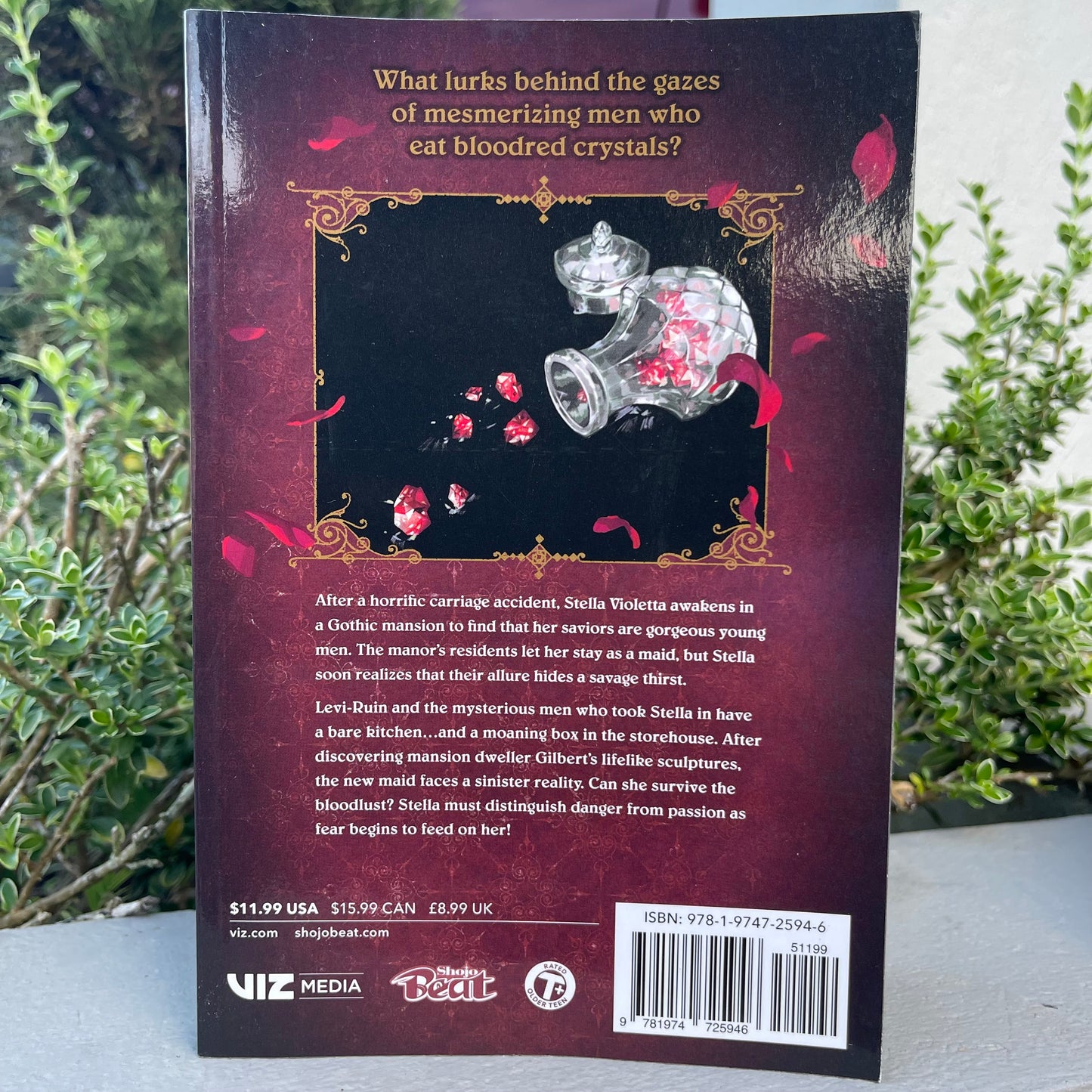 Rosen Blood Vol 1 by Kachiru Ishizue