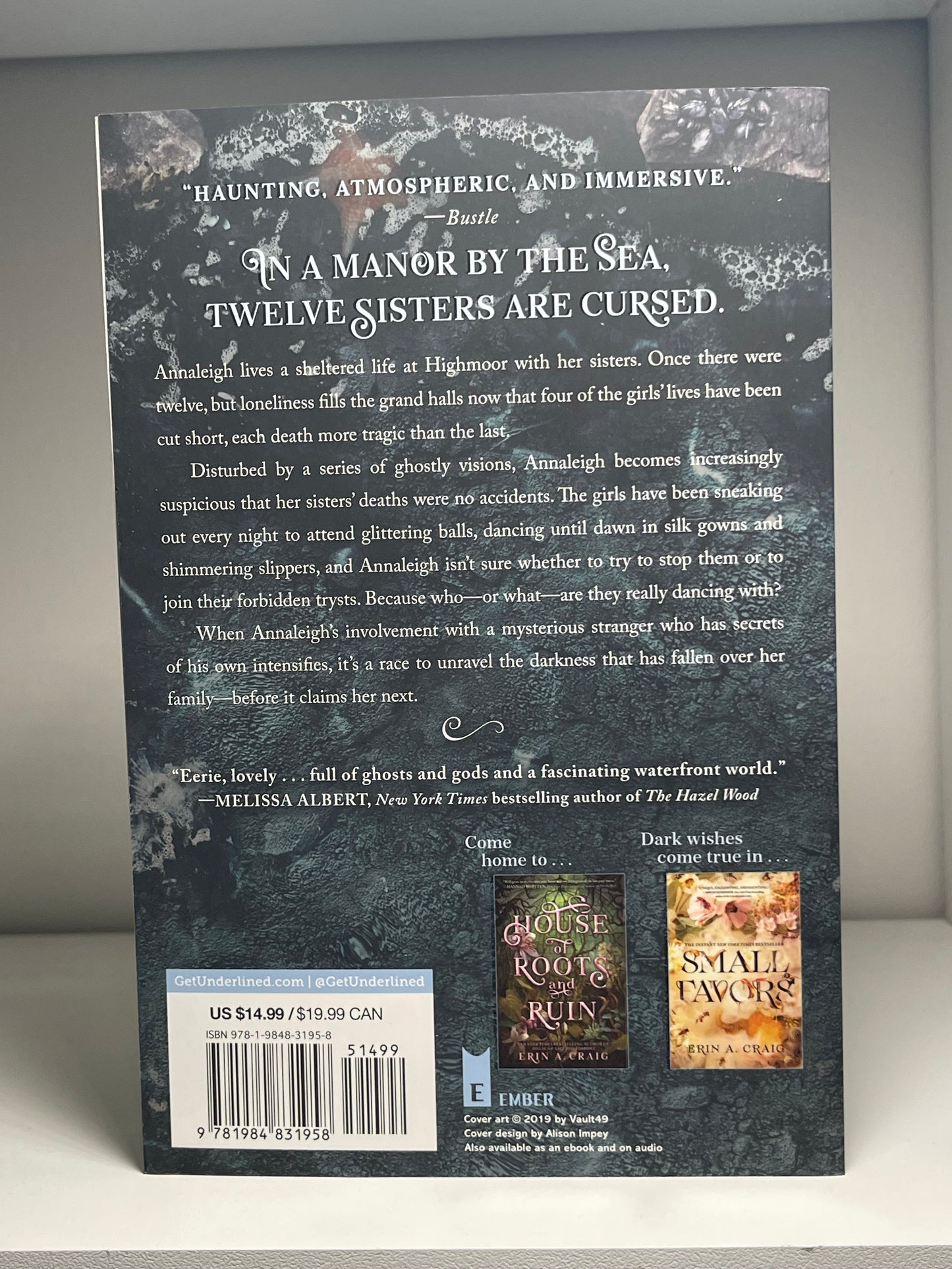 House of Salt and Sorrows (Sisters of the Salt) by Erin A. Craig paperback