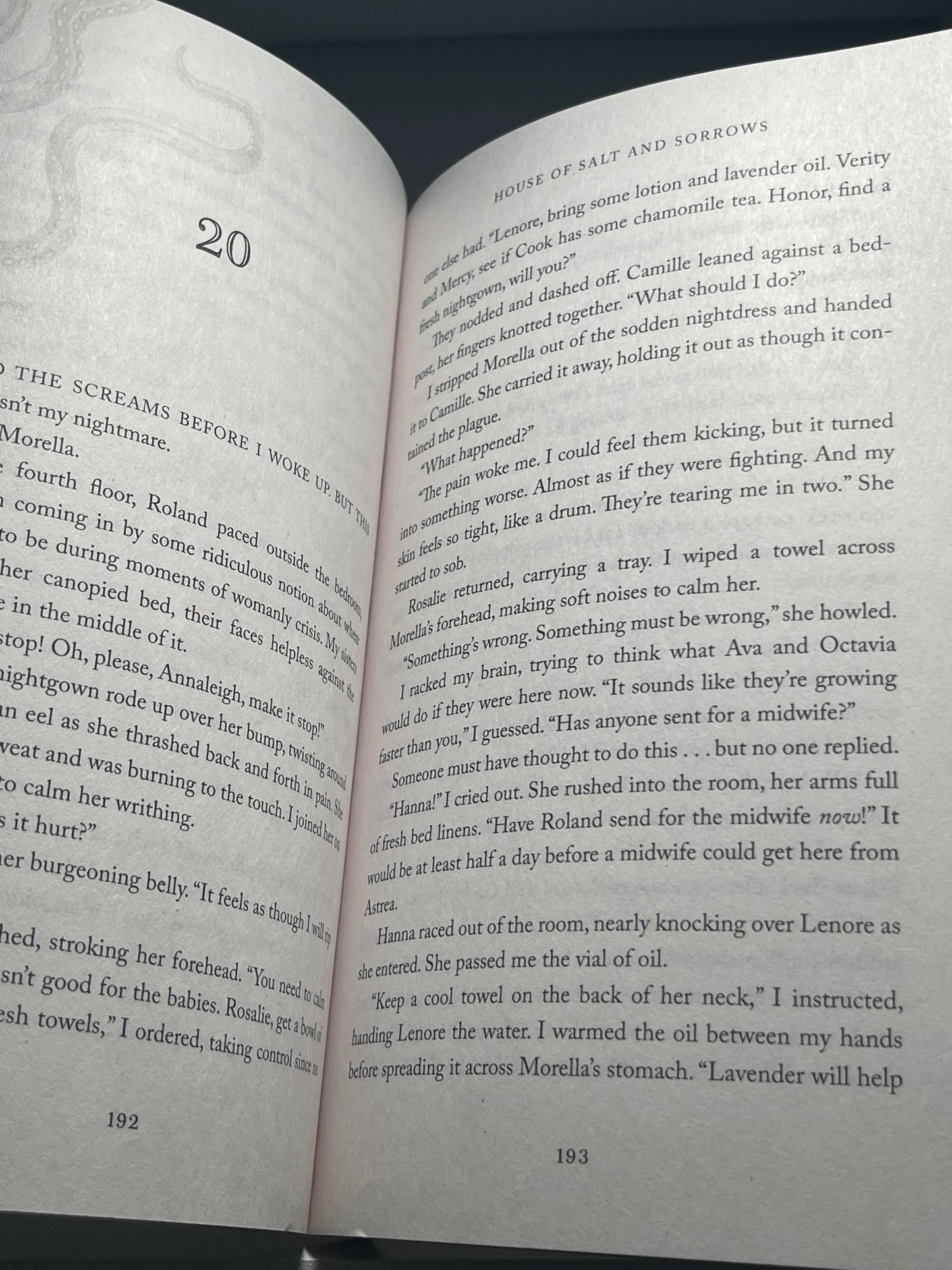 House of Salt and Sorrows (Sisters of the Salt) by Erin A. Craig paperback