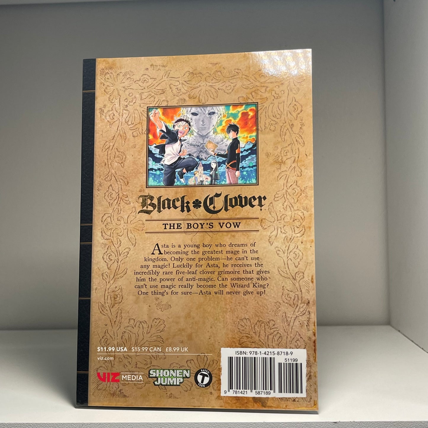 Black Clover Vol 1 manga by Yuki Tabata