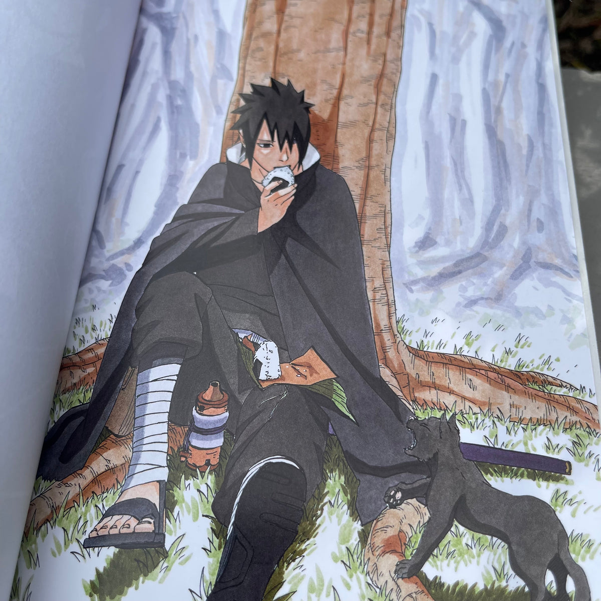 Naruto Sasuke's Story Sunrise: Sunrise (Naruto Novels) Paperback by  Masashi Kishimoto