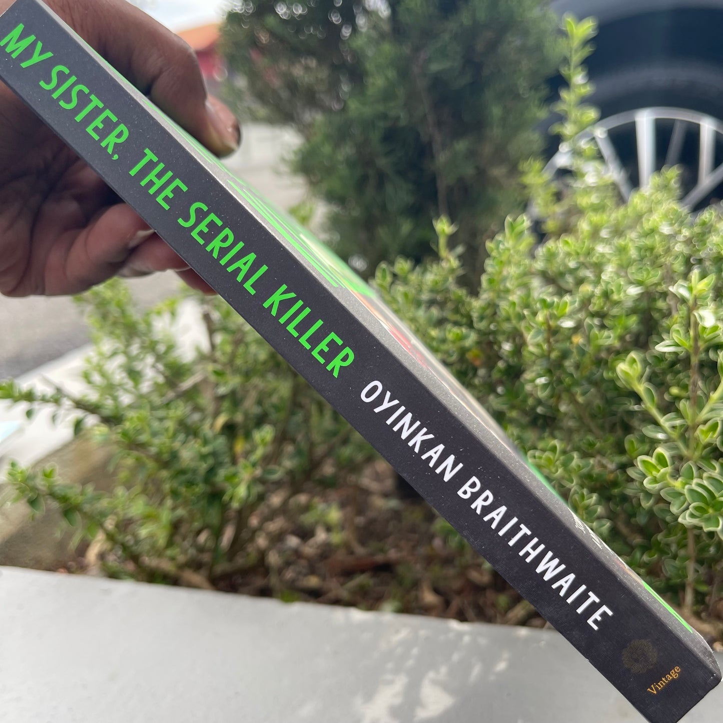 My Sister the Serial Killer A Novel paperback by Oyinkan Braithwaite
