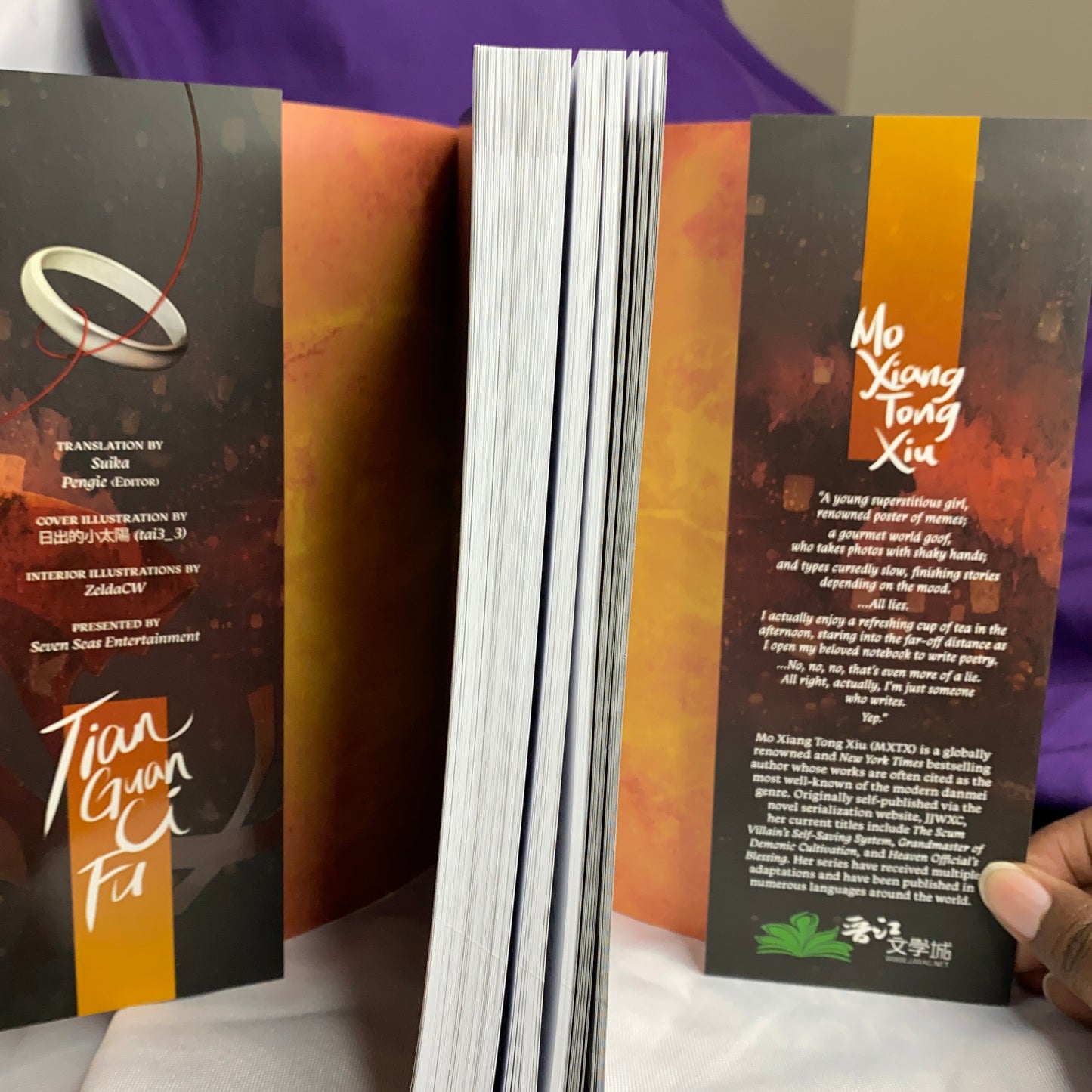 Heaven Official Blessing Tian Guan Ci Fu Novel Vol 8 Light Novel by Mo Xiang Tong Xiu