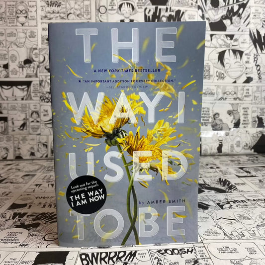 The Way I Used to Be Paperback by Amber Smith