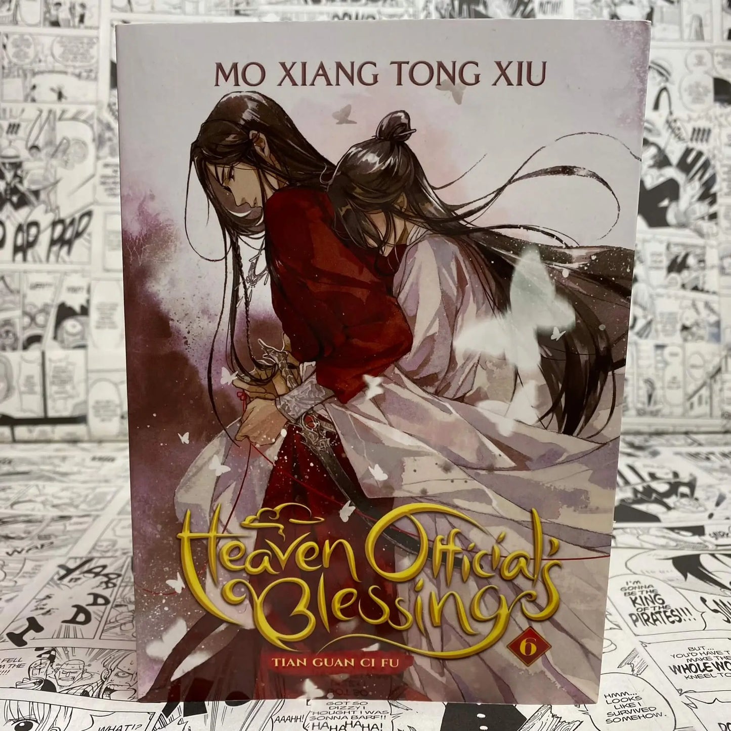 Heaven Official Blessing Tian Guan Ci Fu Novel Vol 6 Light Novel by Mo Xiang Tong Xiu