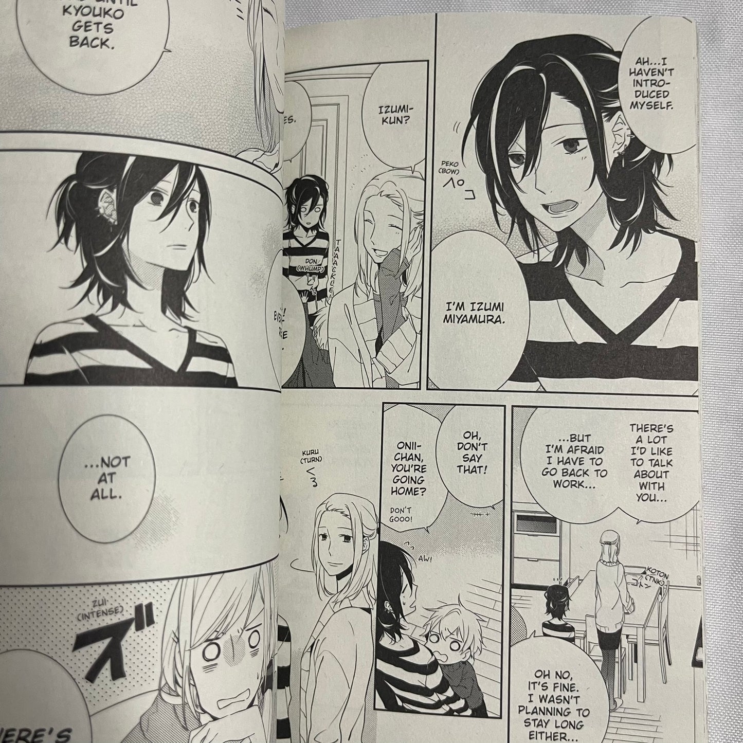 Horimiya Vol 1 by HERO