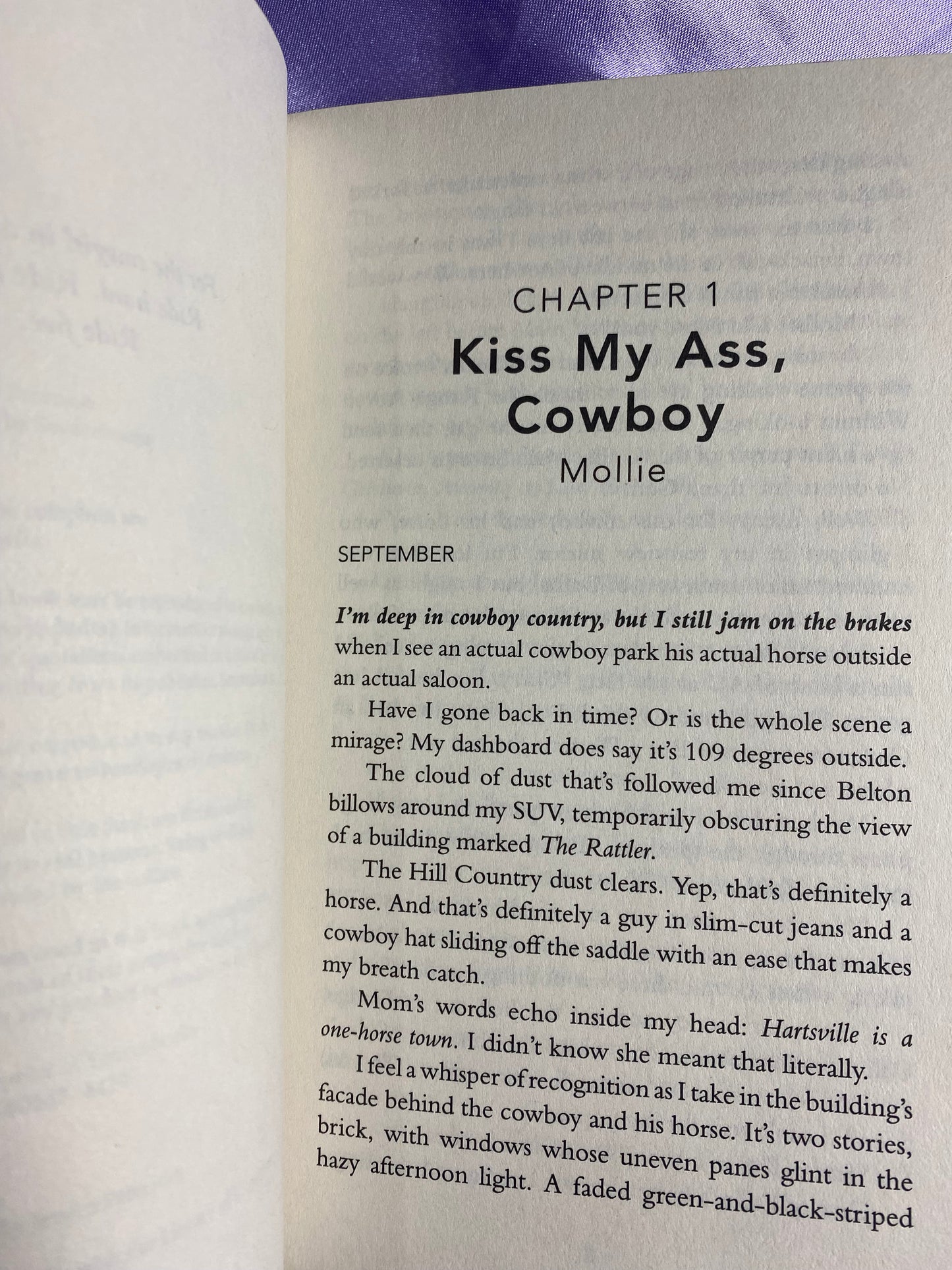 Cash (Deluxe Edition) A Grumpy Sunshine Cowboy Romance Paperback by Jessica Peterson