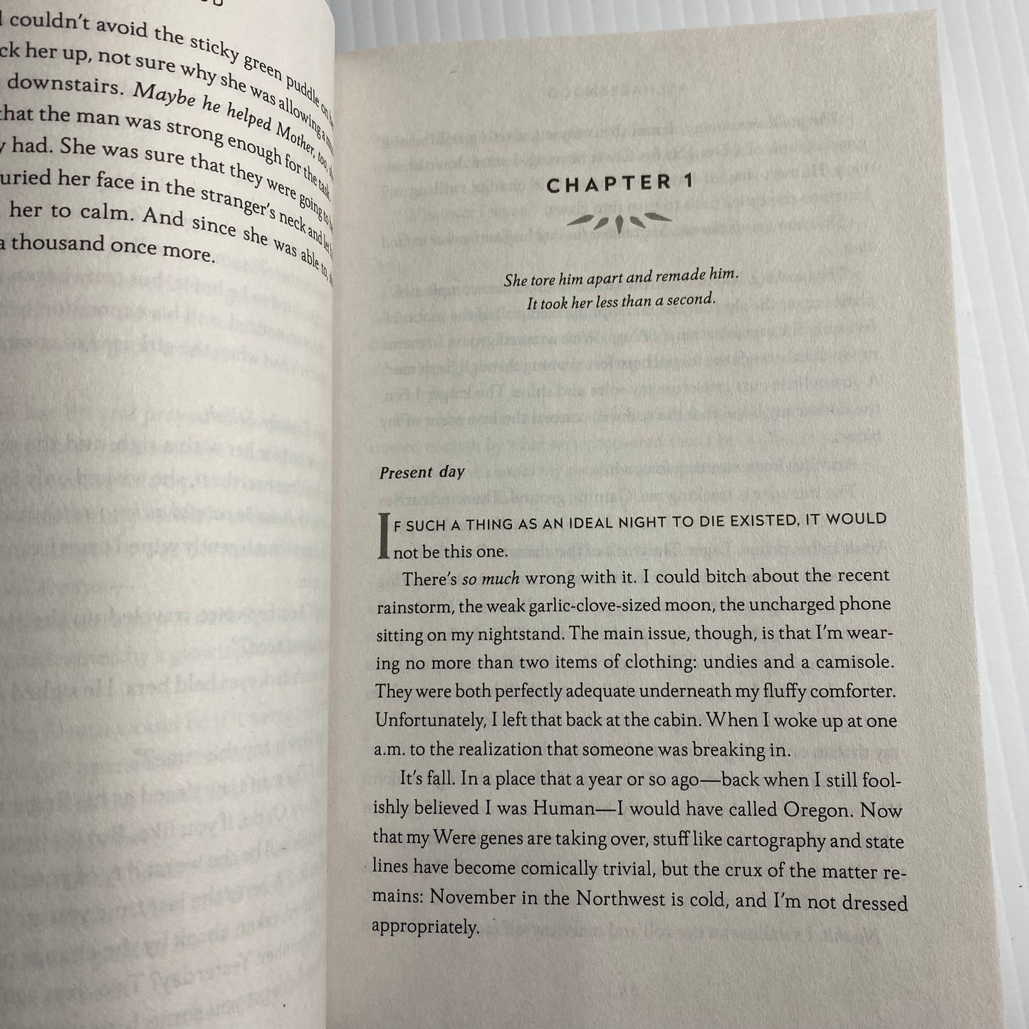 Mate Paperback by Ali Hazelwood