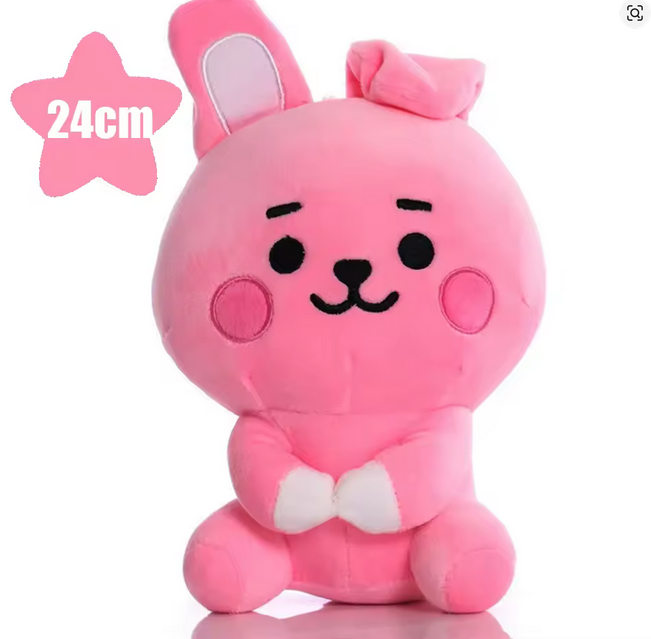 BTS BT21 JUNGKOOK Cooky 24CM plushie